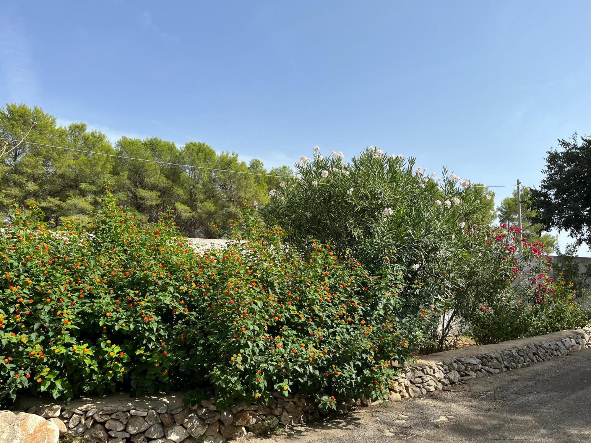 Masseria La Camardia Sava Exterior photo